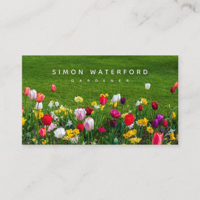 Fleurs de printemps Carte de visite américain (Devant)