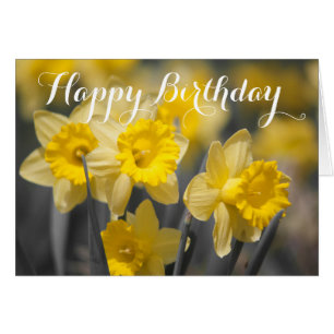 Fleurs de printemps jaunes   Carte de voeux Daffod