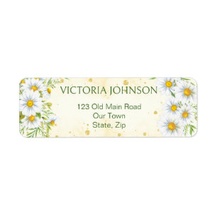 Fleurs de printemps marguerites sauvages vert jaun