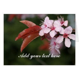 fleurs de prune rose printanier