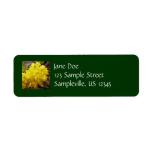 Fleurs de raisins de l'Oregon Fleurs sauvages jaun