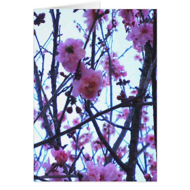 Fleurs de ressort (Devant)