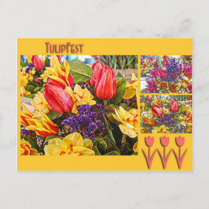 Fleurs de ressort de carte postale de tulipe de