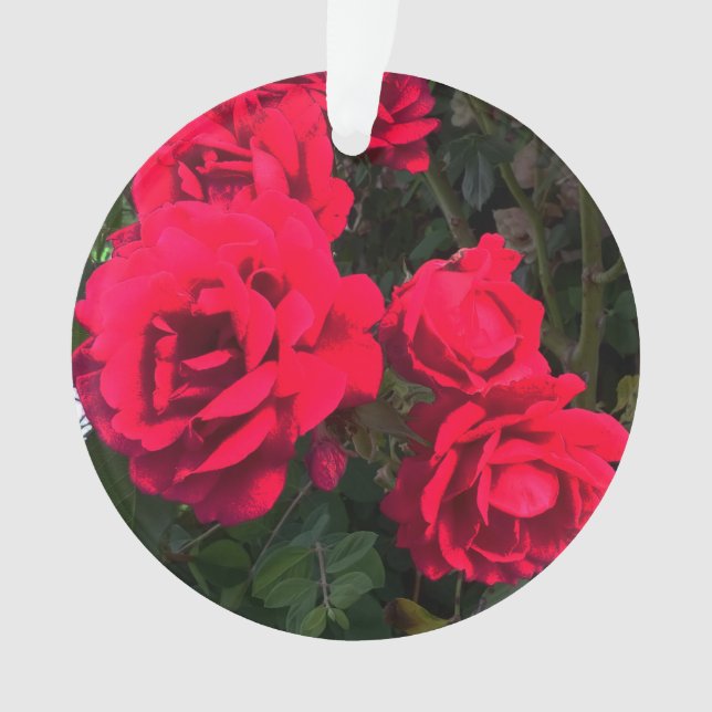 Fleurs de roses rouges (devant)