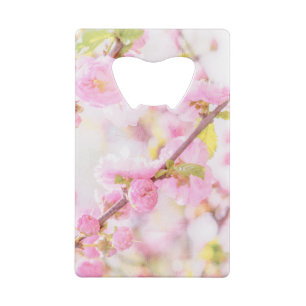 Fleurs de sakura roses - Fleur de cerisier japonai
