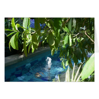 Fleurs de serre Cinq