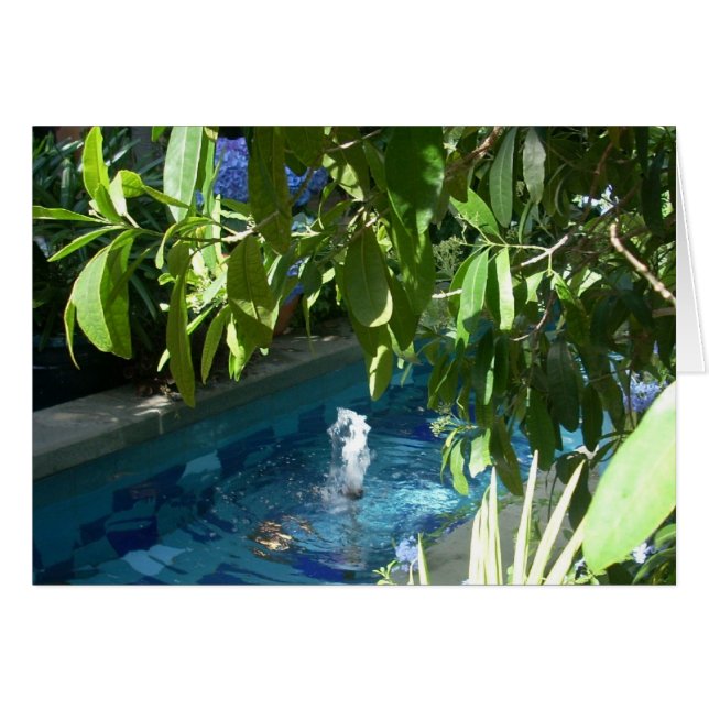 Fleurs de serre Cinq (Devant horizontal)