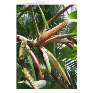 Fleurs de serre neuf