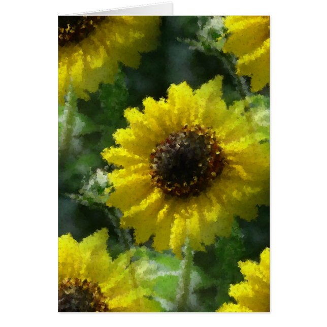 Fleurs de soleil (Devant)