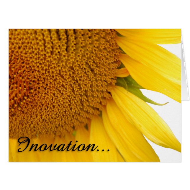 Fleurs de soleil (Devant horizontal)