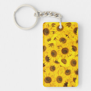 Fleurs de soleil