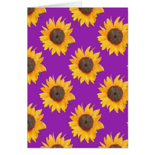 Fleurs de soleil pourpres et jaunes