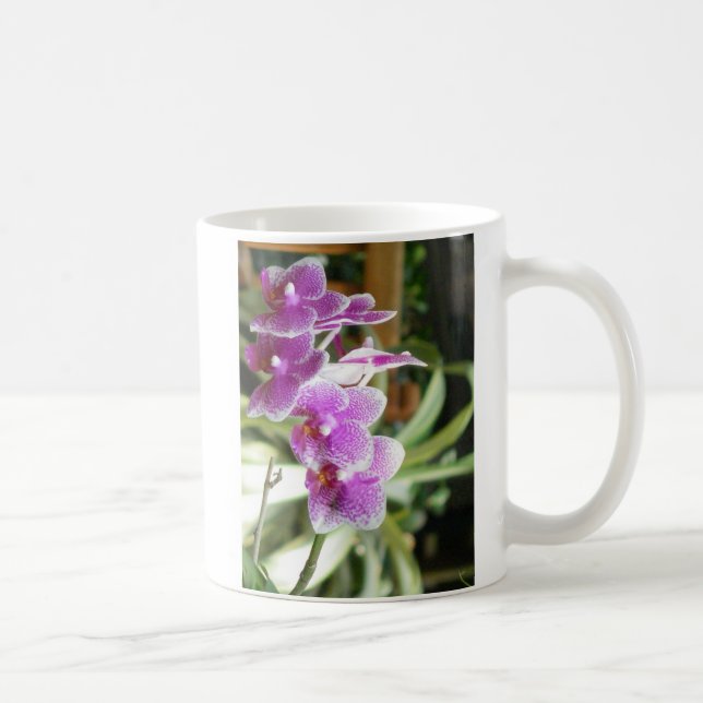 fleurs de tasse de café d'orchidée (Droite)