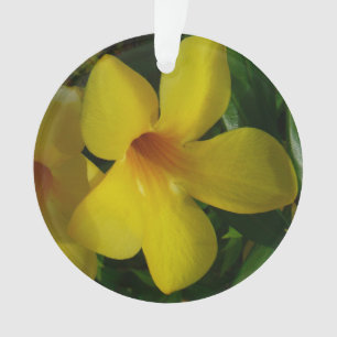 Fleurs de trompette d'or II Tropical
