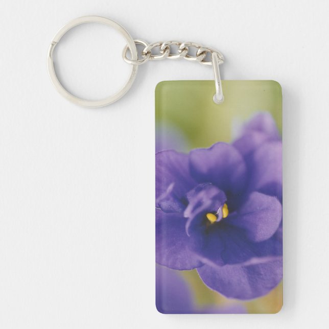Fleurs de violettes africaines roses et bleues (Devant)