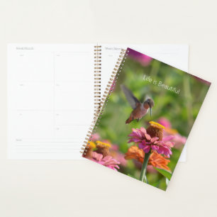 Fleurs de Zinnia Colibri (ma photographie)
