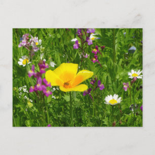 Fleurs d'été do-it-yourself carte postale