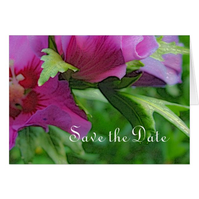 Fleurs d'hisbiscus pourpres (Devant horizontal)