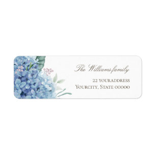 fleurs d'hortensia bleues