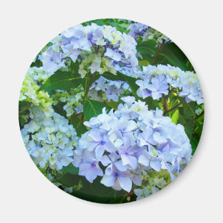 Fleurs d'hortensia cadeaux aimant Bleu Vert jardin