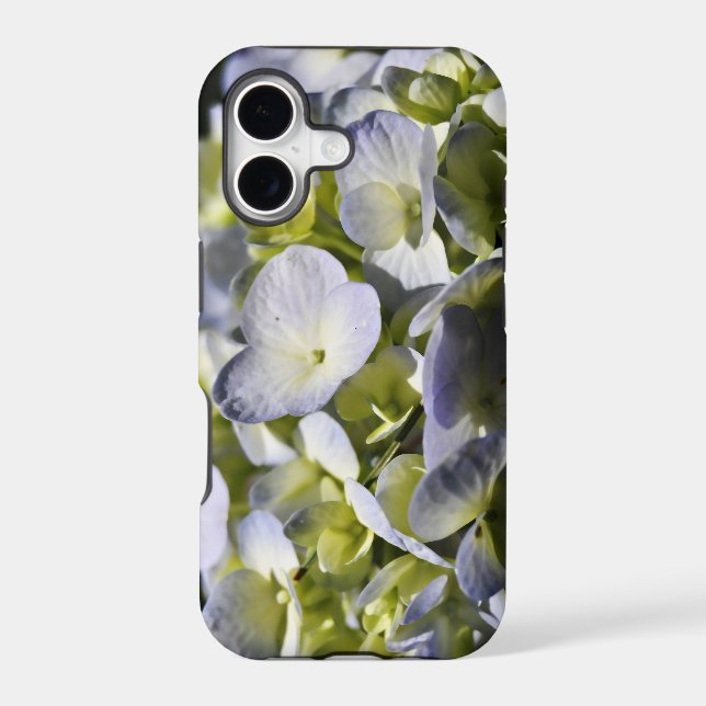 Fleurs d'Hydrangée (Verso)