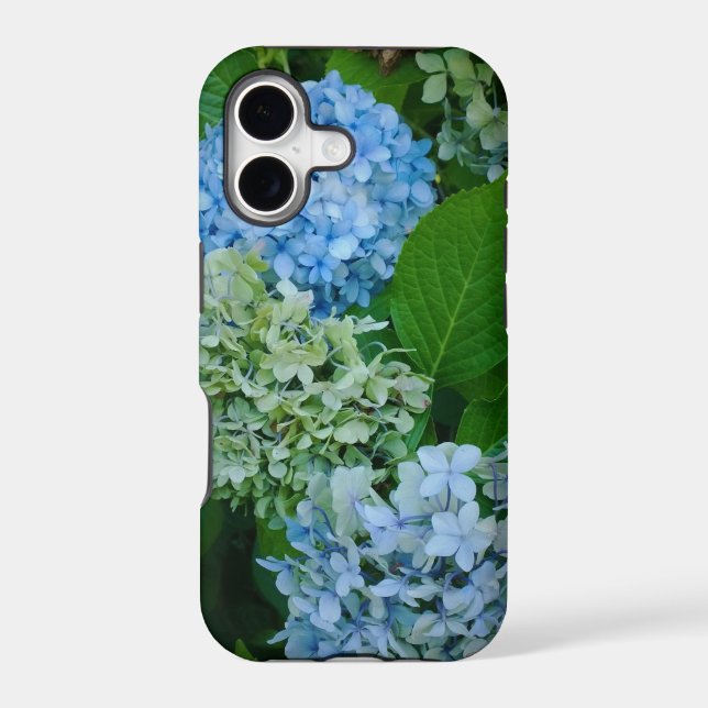 Fleurs d'Hydrangée (Verso)