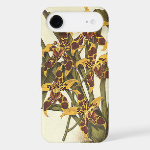 Fleurs d'orchidées Odontoglossum tropicales vintag