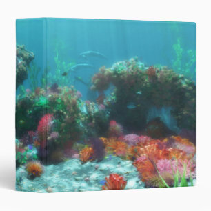 Fleurs du Classeur marin