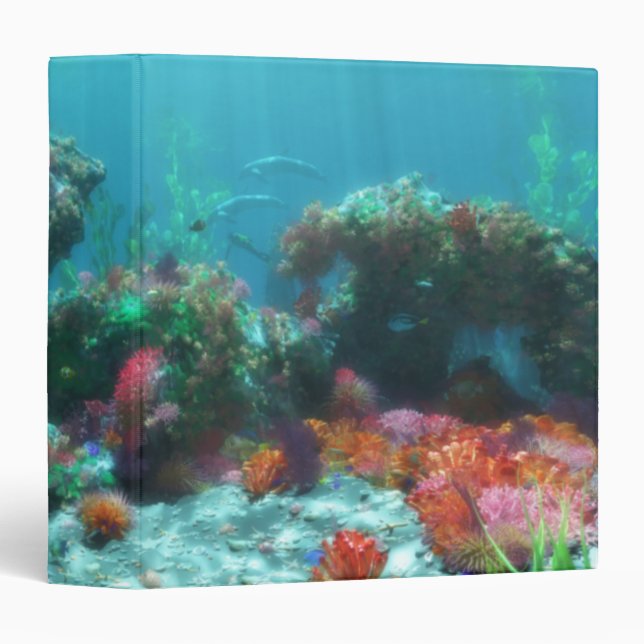 Fleurs du Classeur marin (Devant/Côté)