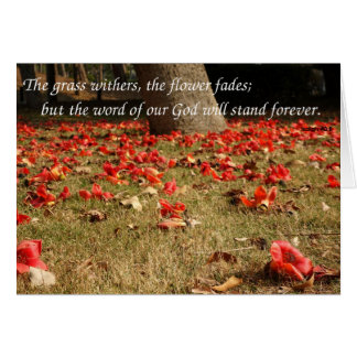 Fleurs en chute de l'arbre de coton en soie rouge