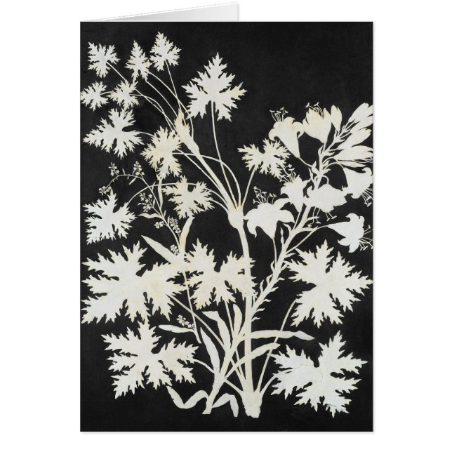 Fleurs en silhouette (Devant)