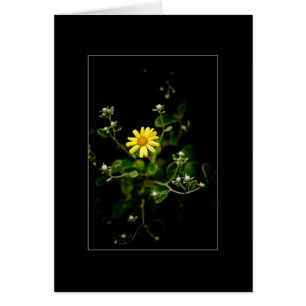 Fleurs et bourgeons