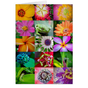 Fleurs et créatures élégantes Motif floral