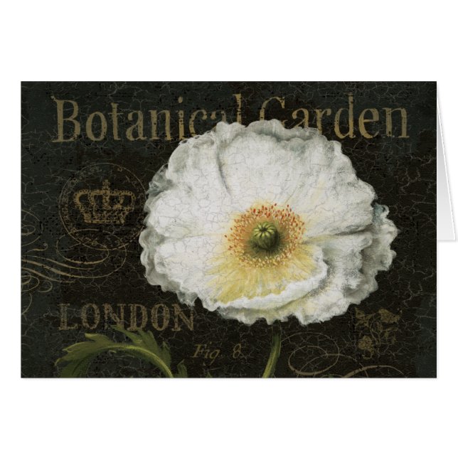 Fleurs et feuille blancs (Devant horizontal)