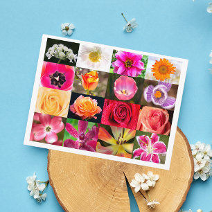 Fleurs, Fleurs Partout Carte Postale