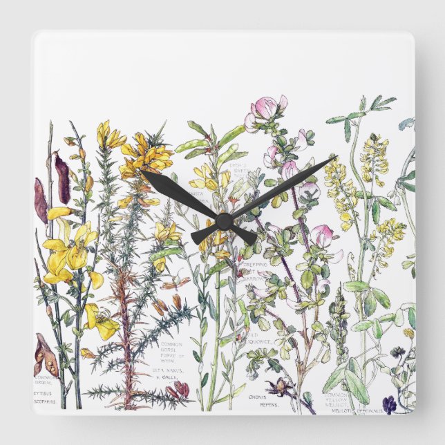 Fleurs Fleurs sauvages botaniques Horloge murale d (Recto)