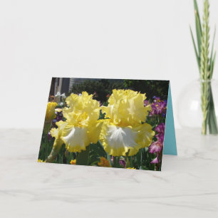 Fleurs florales de Iris à oreilles Jaunes Carte d'