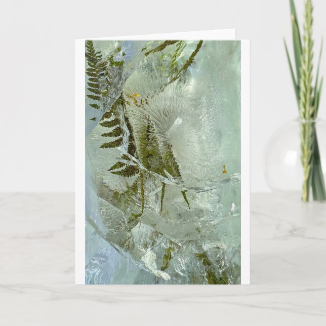 Fleurs glacées, carte (Devant)