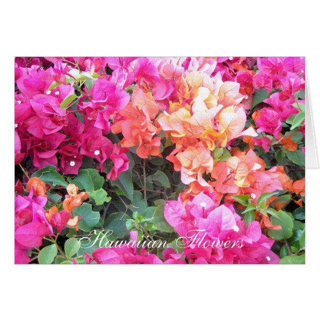 Fleurs hawaïennes (Devant horizontal)