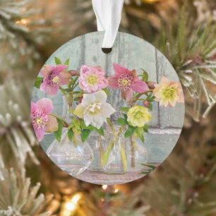 Fleurs   Hellebores dans Vases