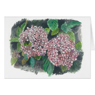 fleurs - hortensia rose