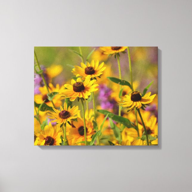 Fleurs jaunes dans une toile de prairie Imprimer (Recto)