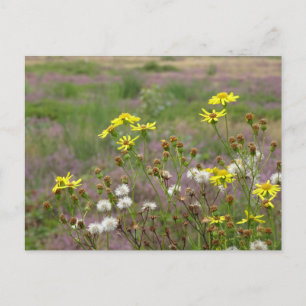 Fleurs jaunes et blanches do-it-yourself carte pos