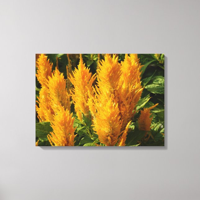 Fleurs jaunes Impression unique (Recto)