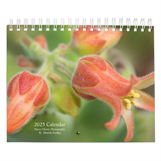 Fleurs murales du calendrier 2025 en Macro Photogr (Protection)