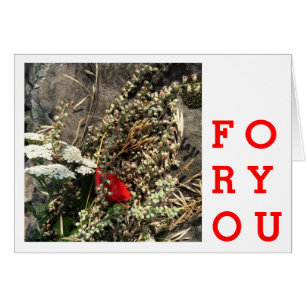 Fleurs naturelles