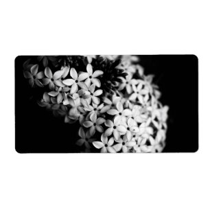 fleurs noires et blanches