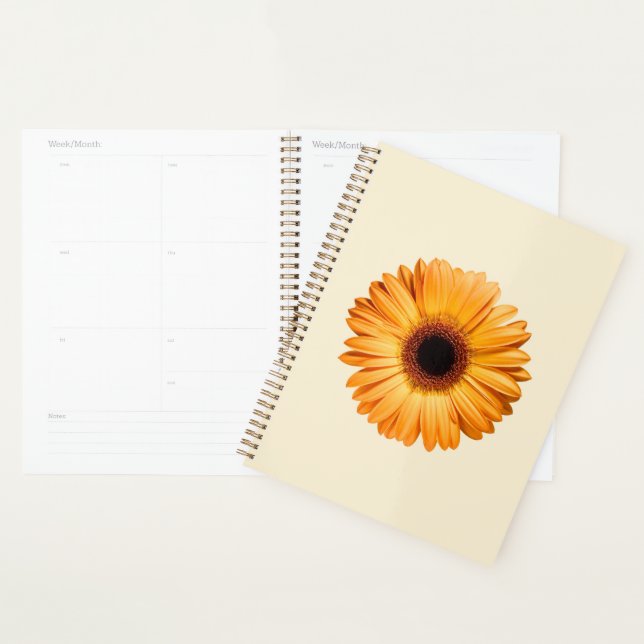 Fleurs | Orange Gerbera (Devant avec enveloppe)