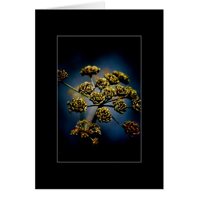 Fleurs parfumées (Devant)