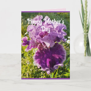 Fleurs pourpres Floral Iris Irises Carte de jour d